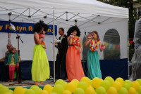 phoca_thumb_l_dsc_8569.jpg