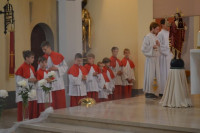 phoca_thumb_l_dsc_0751.jpg