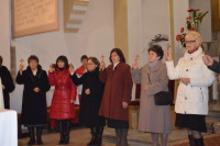 phoca_thumb_l_dsc_0237.jpg