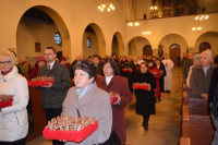 phoca_thumb_l_dsc_0209.jpg
